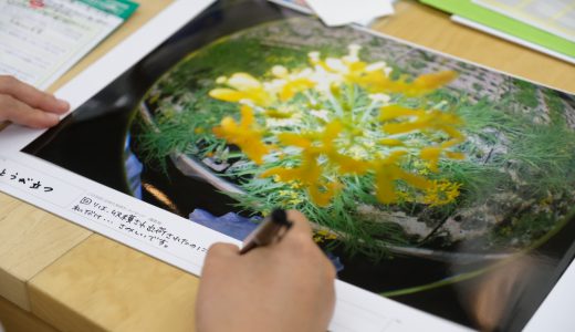 ”PHOTO IS” 想いをつなぐ｡あなたが主役の写真展、応募締め切りまでカウントダウンです！！！