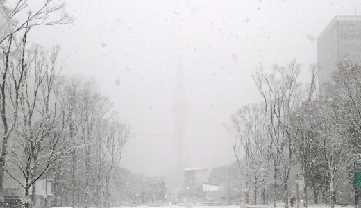 年内の営業は明日12/28(火)まで！
