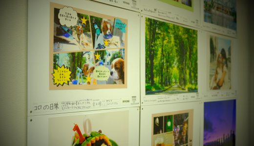 「”PHOTO IS” 想いをつなぐ。あなたが主役の写真展2021」応募作品戻ってまいりました！