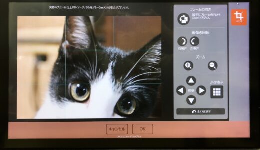 写真の一部が切れちゃった…そんな時のおすすめプリント方法